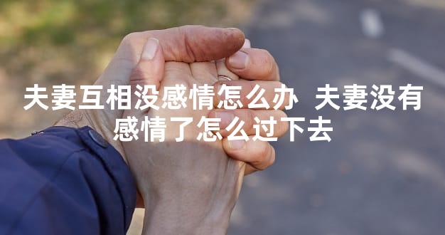 夫妻互相没感情怎么办  夫妻没有感情了怎么过下去